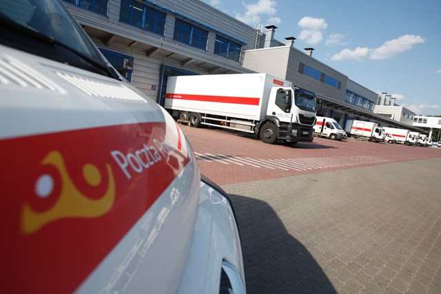 Allegrowicze wybierają  narodowego operatora