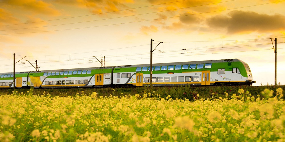 SkyCash w podróży nad morze