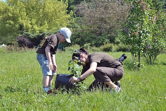 Pracownicy UPS Polska posadzili kilkaset drzew i krzewów