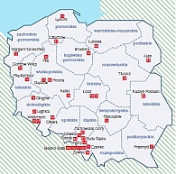 Tesco sprzeda nieruchomości