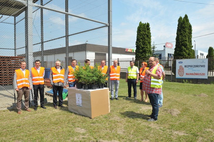 20160610-1-swiecice-szadzenie-drzew