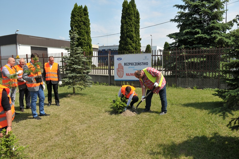 20160610-2-swiecice-szadzenie-drzew