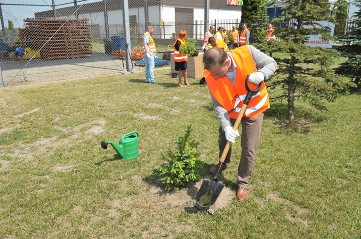 20160610-3-swiecice-szadzenie-drzew