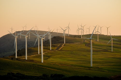 Na ścieżce wysokiego wzrostu w sektorze energii odnawialnej