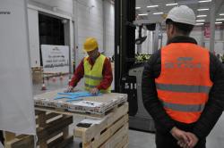 Tańczączy z paletami_fot19